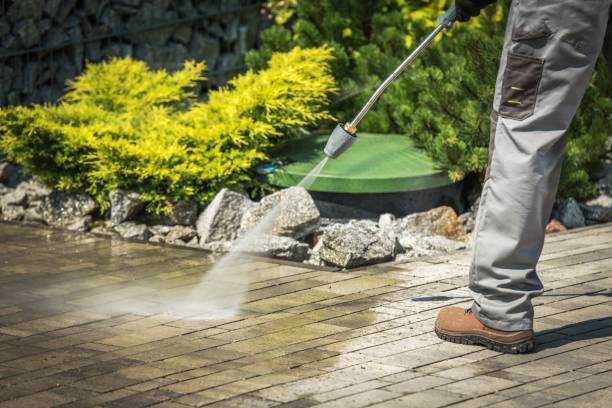 Best Pool Deck Cleaning  in Carthage, MS